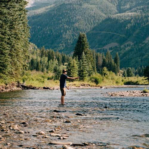 Expeditions & Service