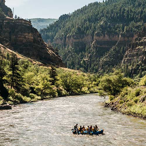 Expeditions & Service