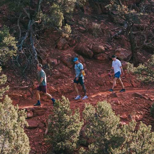 Expeditions & Service